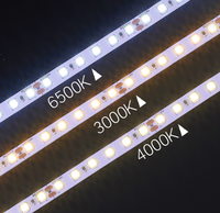 Bande lumineuse LED intelligente SMD 2835 60 LED/m 120 LED 240 LED 10 mm 12 mm 3000K/4000K/6000K Ra80 DC12V/24V IP20/IP65/IP67
