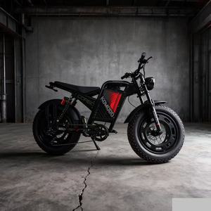 Bicicletta Elettrica da 20 Pollici con Motore Brushless, Pneumatici Larghi, Fuoristrada, Stile Retrò, Batteria al Litio, 1000W, per Ciclismo Montano e da Corsa, Capacità 150kg - Product Image 5