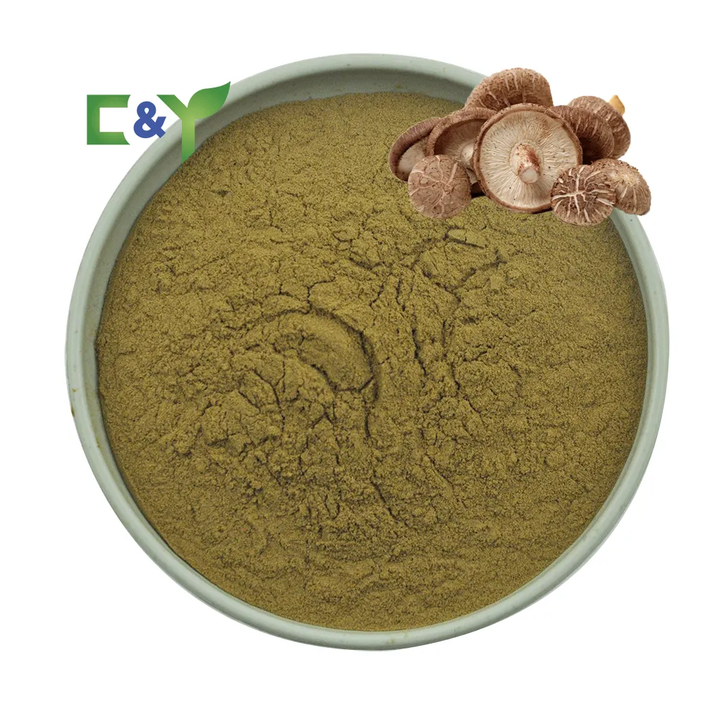 Hot selling product bulk supply supply polysaccharides shiitake mushroom extract shiitake mushroom powder