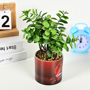 Vente chaude transfrontalière <span class=keywords><strong>2023</strong></span>, plante artificielle, verdure, décoration intérieure et extérieure, eucalyptus en pot en plastique imprimé en <span class=keywords><strong>3D</strong></span>, petites plantes - Product Image 5