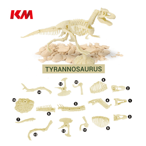Kit d'pelle et squelette de <span class=keywords><strong>dinosaure</strong></span>, 4 pièces, brillent dans la nuit, jouet dishdateur, loisirs pour enfants, offre spéciale - Product Image 5