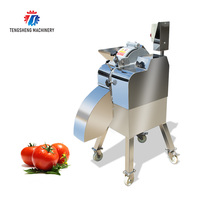 Automatic Taro Pineapple Apple Mushroom Mango Dicing Machine Vegetable Cutting Machine (TS-Q180)