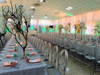 Meubles de mariage et d'événement noirs chaise de salle à manger en acrylique de mariage en résine plastique chaise Phoenix
