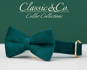 Collar y Correa Personalizados para Perro Teal Veet con Lazo de Flores y Placa de Identificación Grabada en Oro - Regalo Unisex para Cachorros de Boda - Product Image 4