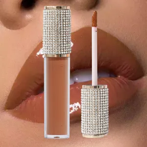 주문 비건 반짝임 입술 광택 콘테이너 광택이 없는 립스틱 로고를 가진 장비를 만드는 립글로스를 위한 방수 액체 안료