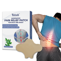 Produits de santé Lijitang OEM/ODM – Patch chauffant à l'armoise pour soulager efficacement les douleurs lombaires et dorsales à base de plantes