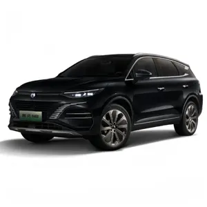 The New 2023 Denza N8 Luxury6/7 Seat SUV 620KM Hot Sale Electric Vehicle New Energy Technology 4WD Capability BYD Tengshi