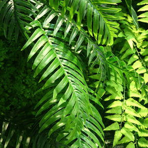 Panel de Pared de Plantas Artificiales con Protección UV, Estilo Selva, Verde, con Césped y Follaje, para Decoración de Fiestas de Cumpleaños - Product Image 4