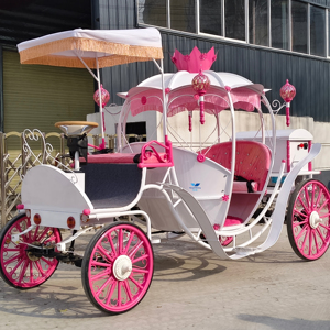 Nouvelle conception Magnifique carrosse de citrouille de Cendrillon pour mariage et décoration de Noël en extérieur Carrosse de cheval - Product Image 1