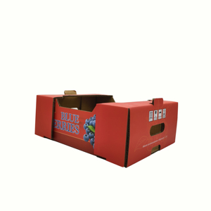 Boîtes d'emballage rigides en carton ondulé personnalisées en usine, cartons pour fruits et légumes, plateau d'emballage pour cerises - Product Image 4