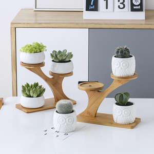 Pot de fleurs créatif en céramique de citrouille de hibou de plante charnue <span class=keywords><strong>blanche</strong></span> avec sommet d'arbre en bambou pour la maison et le jardin - Product Image 3