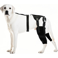 Genouillère pour chien pour jambe arrière ACL déchirée-Maintient les articulations au chaud et le soutien stable des jambes