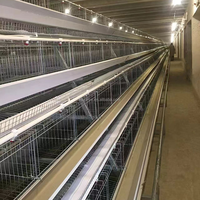 Cage à poules pondeuses multi-niveaux de type 3/4, galvanisée à chaud, avec machine d'alimentation automatique, longue durée de vie, équipement d'élevage avicole