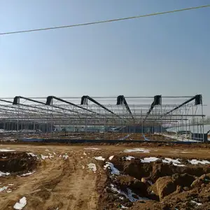 hot sale gutter connected film greenhouse for vegetable seeding and planting
