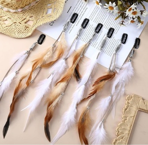 Lot de 12 extensions capillaires colorées de 9,8 pouces avec clips pour costumes, spectacles et coiffures fantaisie - Product Image 5