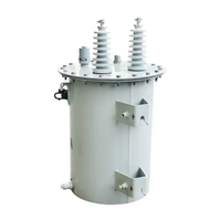 Transformateur monophasé immergé dans l'huile IEEE/ANSI/IEC 10 kVA 10 kV/0,22 kV avec réservoir d'huile rond pour l'électrification rurale