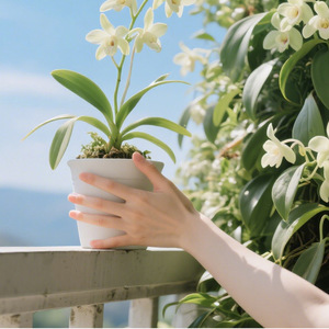 Solution nutritive pour orchidées, engrais à base d'alun pour plantes, solution complétant l'alimentation des plantes en nutriments essentiels pour la croissance - Product Image 4