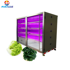 Sistema <span class=keywords><strong>de</strong></span> crecimiento <span class=keywords><strong>de</strong></span> lechuga hidropónica - Product Image 1