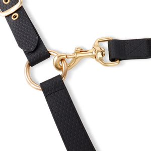 Modè<span class=keywords><strong>les</strong></span> personnalisés et logo Pvc moelleux licou cheval étanche Miniature colliers poneys arabe doux réglable Pvc cheval licous - Product Image 4