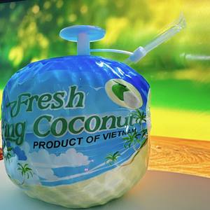 Coco orgánico - Product Image 6