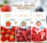 4Kg Mini Groente Fruit Snoep Vriesdroger Huis Vacuüm Voedsel Vriesdroger Droogmachine Lyofilisator Ons