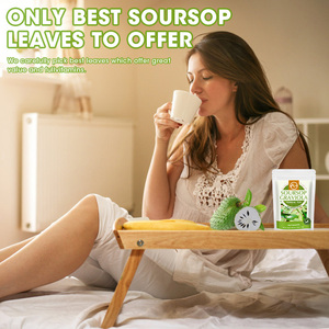 Pacote Personalizado OEM de Folhas de Graviola Orgânica Secas, 28 Saquinhos de Chá de Graviola para Digestão - Product Image 4