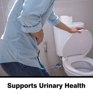 Complément alimentaire à base de plantes <span class=keywords><strong>Prostate</strong></span> Plus Saw Palmetto OEM ODM, pilules pour la santé urinaire, capsules pour la santé de la <span class=keywords><strong>prostate</strong></span> masculine - Product Image 3