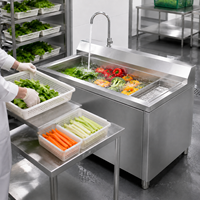 Industriële groentewasmachine met hoge capaciteit en luchtbellen voor de foodservice-industrie