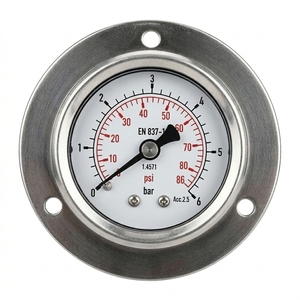 Manómetro Axial Compacto de 40 mm, Miniatura, de Latón, con Conexión Roscada y Montaje Trasero - Product Image 2