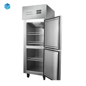 Kulkas Freezer tegak 2 pintu komersial 400L kulkas pendingin vertikal