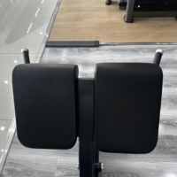 Chaise romaine professionnelle réglable pour l'entraînement des fessiers et du bas du dos, avec cadre en acier stable