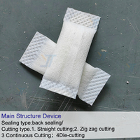 Machine d'emballage automatique électrique haute performance personnalisée multi-voies pour sachets de snus et pochettes de nicotine en plastique