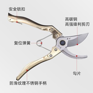Stainless Steel <b>Pruning</b> Shears Heavy Duty Garden Fruit <b>Tree</b> Cutting Horticultural Thinning <b>Tools</b> - Product Image 1