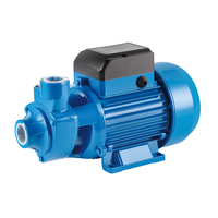1 pouce sortie fonte QB60 électrique 0.5HP 0.37kW prix compétitif vente en gros pompes de pompage périphériques ferme pompe à eau domestique