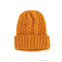 Gorro de punto de algodón amarillo personalizado al por mayor para fabricantes, gorro de invierno cálido de moda estilo hip-hop con bordado 3D, ideal para viajes.
