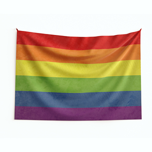 ธงโพลีเอสเตอร์ขนาด 3x5 ฟุต แบบขายส่ง ธงสีรุ้ง LGBTQ สำหรับงานพาเหรดกลางแจ้ง - Product Image 1