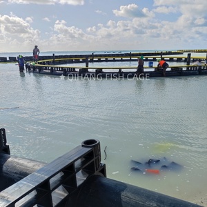Équipement d'aquaculture d'<span class=keywords><strong>occasion</strong></span> de haute qualité à vendre Cage d'élevage de poissons pour le tilapia - Product Image 1