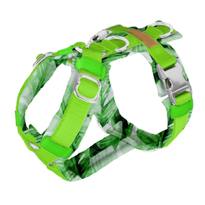 Personalizado Acolchoado Ajustável Reflexivo Nylon Vest Pechera de perro Treinamento Tactical Big Dog <span class=keywords><strong>Harness</strong></span> Bulk Para <span class=keywords><strong>Greyhound</strong></span> Acessórios - Product Image 3