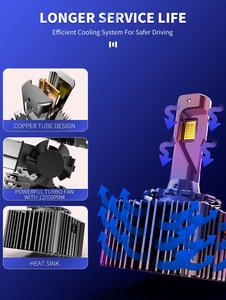 Đèn pha LED D Series khuyến mãi nóng D1S D1R <span class=keywords><strong>D2S</strong></span> <span class=keywords><strong>D2R</strong></span> D3S D3R D4S D4R D5S D5R D8S D8R công suất cao, bộ giải mã không mất điện, bóng đèn <span class=keywords><strong>HID</strong></span> <span class=keywords><strong>Xenon</strong></span> - Product Image 6