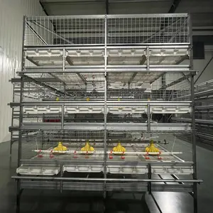 Cheap Price Pull Out Slat Type Broiler Farm Cage Chicken Broiler Battery Cages