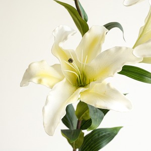 H-734 vendita diretta della fabbrica romantica decorazione di nozze giglio artificiale fiori bianco artificiale vero tocco giglio fiore all'ingrosso - Product Image 4