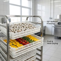 Boîtes de rangement empilables en HDPE perforé de qualité alimentaire, écologiques, étanches, pour la conservation des fruits de mer, de la viande, et le stockage frigorifique ventilé IQF
