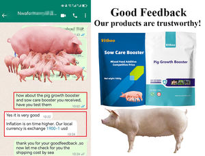 Domuz büyüme güçlendirici hızlı büyüme Premix yem hayvan kilo kazanç Promoter vitamini besleme <span class=keywords><strong>Amino</strong></span> asit takviyesi domuz büyüme güçlendirici - Product Image 5