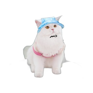 Chapeau de soleil pour chat, couleur unie, en polyester, design mignon, pour une utilisation en extérieur en toutes saisons - Product Image 5
