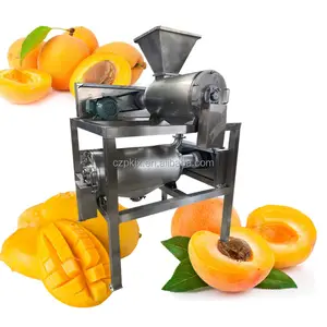 Machine professionnelle de fabrication de pulpe végétale de purée de fruits extracteur de jus de mangue prix de la machine