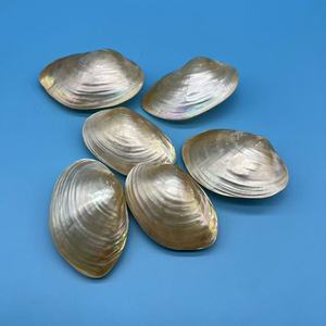 Concha <span class=keywords><strong>de</strong></span> mejillón <span class=keywords><strong>de</strong></span> perla <span class=keywords><strong>Natural</strong></span> <span class=keywords><strong>de</strong></span> Venta caliente caracola colorida pulida a mano para decoración del hogar Accesorios <span class=keywords><strong>de</strong></span> tiro - Product Image 3
