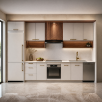 Meubles de cuisine modernes sur mesure en bois massif laqué MDF, armoires de cuisine intégrées, fournisseur OEM pour villas et appartements de luxe