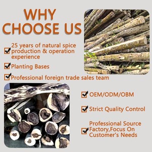 Chips di Legno di Agar di Alta Qualità, Incenso Aromatico in Polvere, Fragranza Naturale Dolce Oudy per Casa, Sale da Tè, <span class=keywords><strong>Oud</strong></span> Arabo Bakhoor - Product Image 5