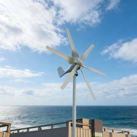 Générateur éolien 12V 24V 48V, générateur éolien 800W à 3 pales avec contrôleur éolien MPPT, kit générateur éolien