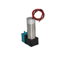 Pompe électrique à micro diaphragme 12V pompe à diaphragme sans balais